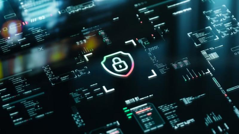 金州区软件开发公司